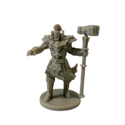 TANARES RPG MINIATURA - BROOK, LÍDER DA MÃO DE FERRO