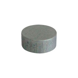 FICHA MADEIRA PRATA - 20x6 mm