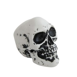 PEÇA CRÂNIO - 40x35x55 mm